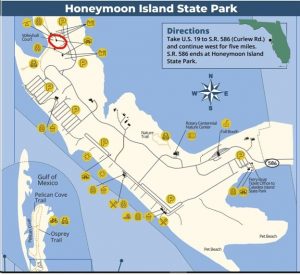 Honeymoon Island Start Park Shelter Location