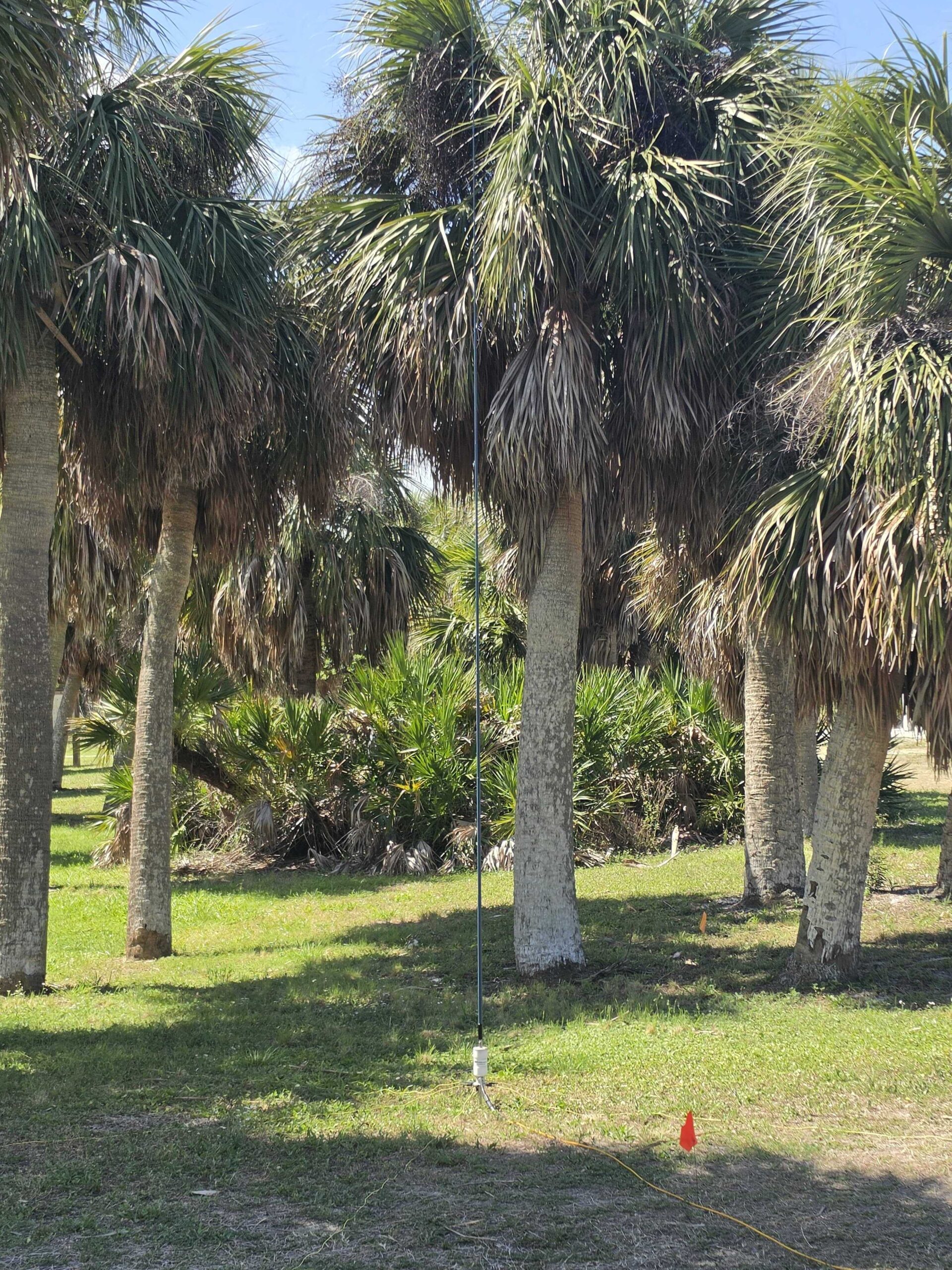 AF40_UPIP_04182026_2115